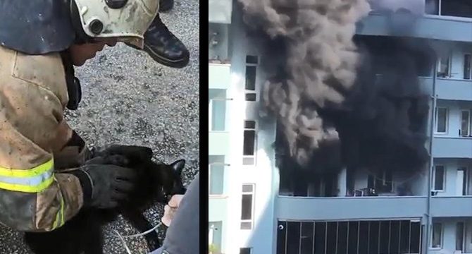 Yanan evde mahsur kalan kedilere dakikalarca kalp masajı