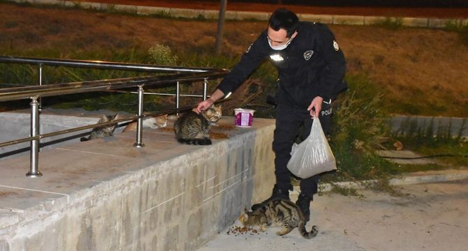 İzmir polisi, kısıtlamada sokak hayvanlarını unutmadı
