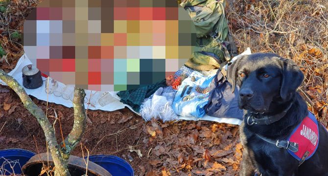 Bingöl'de PKK'ya ait mühimmat ele geçirildi