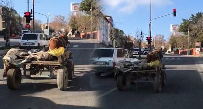 Sahibinden kaçan başıboş at trafikte tehlike saçtı