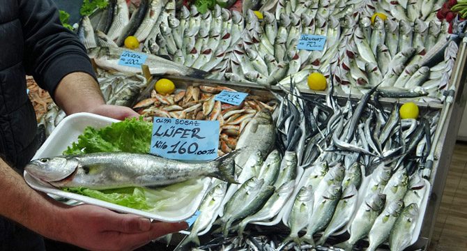 'Denizlerin prensi' lüferin kilosu 100 liraya düştü