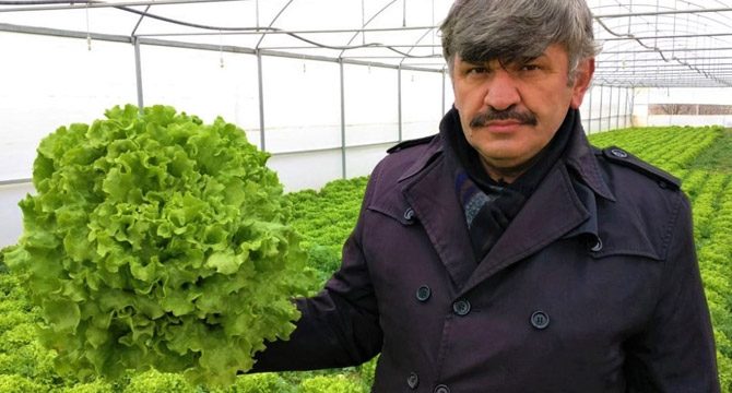 Serada 2 liraya satılan marul markette yüzde 400 zamlı satılıyor