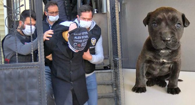Yavru köpeği feci şekilde öldürmüştü! İşte şüpheli için istenen ceza