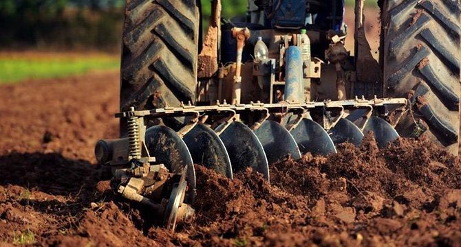 Tarım ürünleri üretici fiyatları yıllık yüzde 20.76 arttı