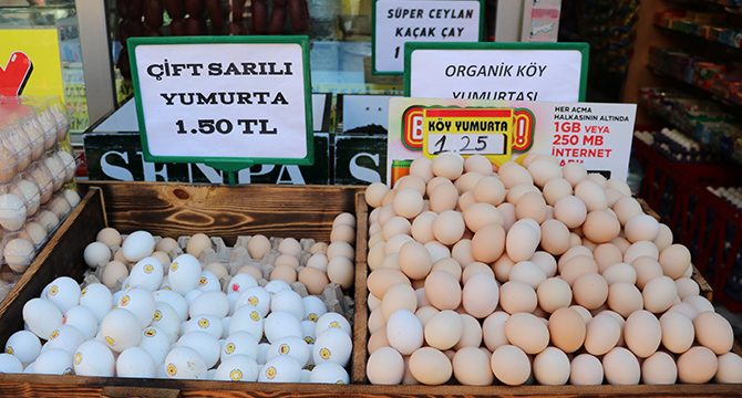 Yumurta "altın" oldu