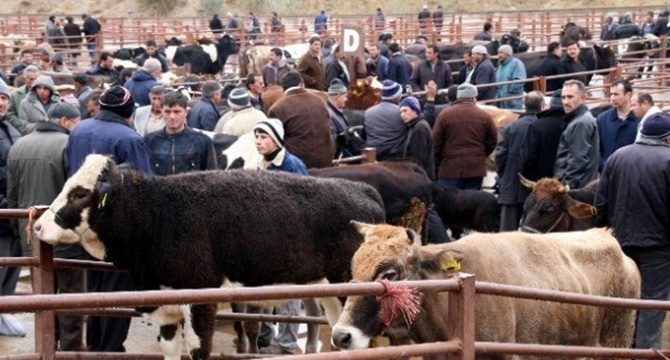 Nevşehir Hayvan Pazarı geçici olarak kapatıldı