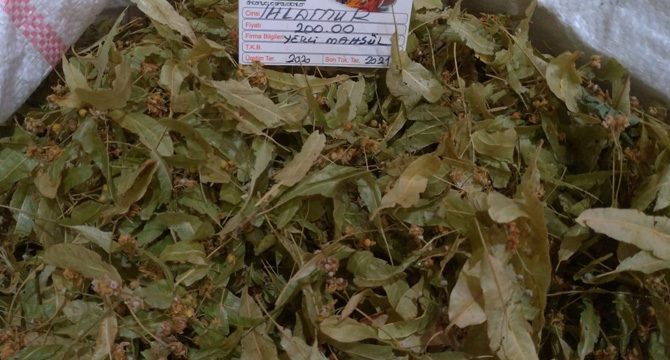Salgınla birlikte talep arttı! Kilogram fiyatıysa dudak uçuklatıyor