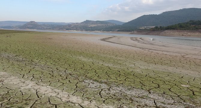 2020'de ekstrem sıcaklıkta artış, yağışlarda düşüş rekoru kırıldı