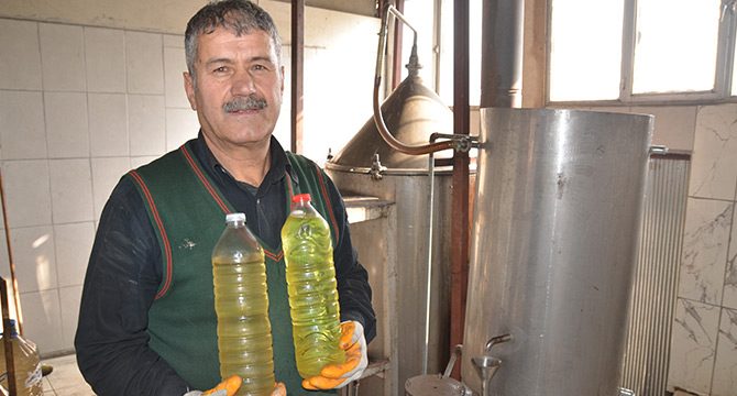 Köylünün yeni geçim kaynağı yaban mersini yağı