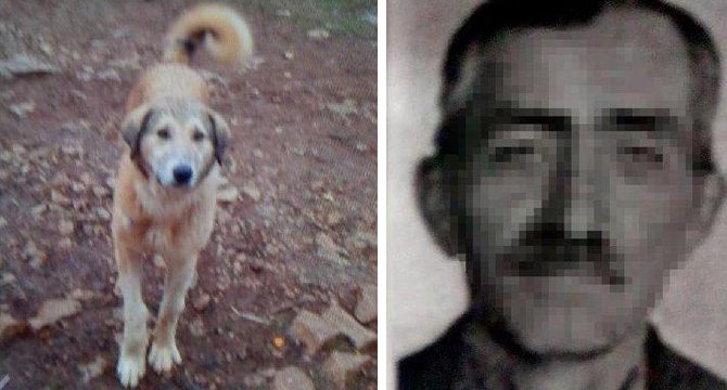 Köpeğini 'fazla ekmek yiyor' diye öldürdü