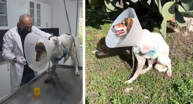 Tedavisi devam ederken kendini sokakta buldu