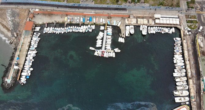 Marmara’da balıkçıların korkulu rüyası 10 yıl sonra geri döndü