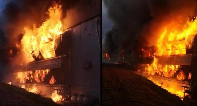 56 bin civcivin bulunduğu tavuk çiftliği yandı