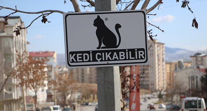 Dikkat kedi çıkabilir