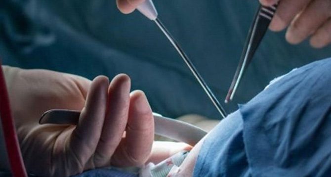 İstanbul polisinden organ ticareti operasyonu
