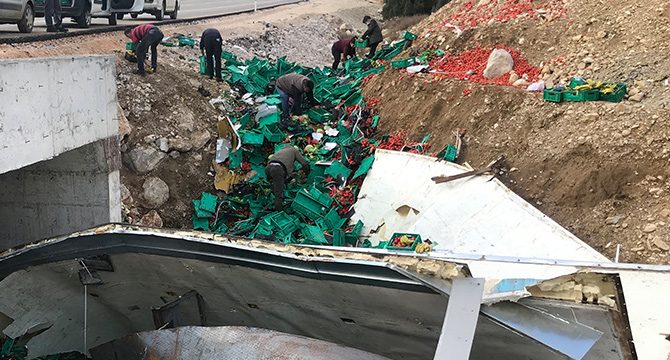 Devrilen TIR’dan yola saçılan sebze ve meyveyi evlerine götürdüler