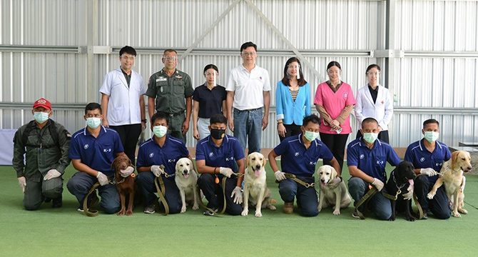 Bilim insanları 6 köpeği koronavirüs testi için eğitti