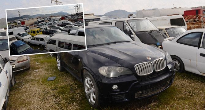 80 milyon liralık milli servet çürümeye terk edildi!