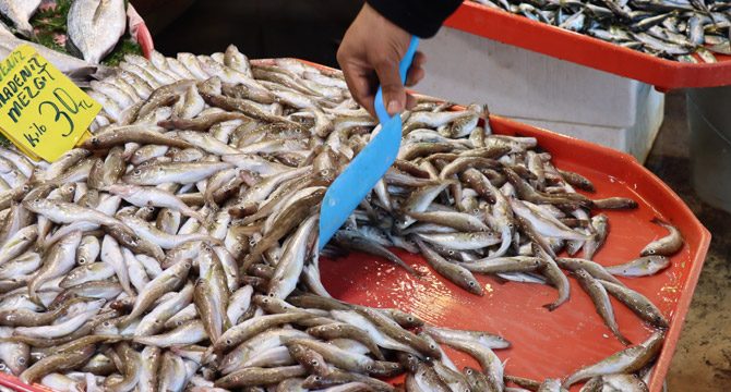 Sezonu bitirmeye hazırlanan balıkçılardan uyarı
