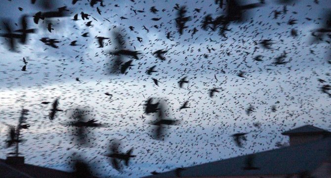 Vatandaş büyük panik yaşamıştı! Uzman isimden açıklama geldi
