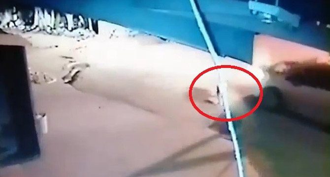 Köpeği ezdi, arkasına bakmadan gitti