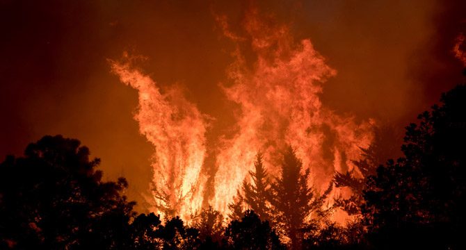 Meksika'da korkutan orman yangını: 400 kişi tahliye edildi