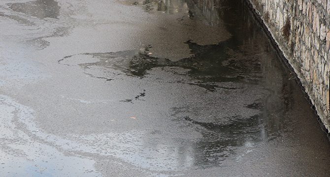Yeşilırmak'ta üzen görüntü