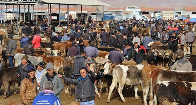 Türkiye’nin en büyüğü, kapatıldı