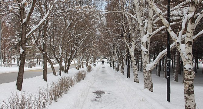Mart kapıdan baktırdı, yoğun kar yolları kapadı