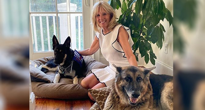 ABD Başkanı Biden'ın köpeği Saray'ı birbirine kattı