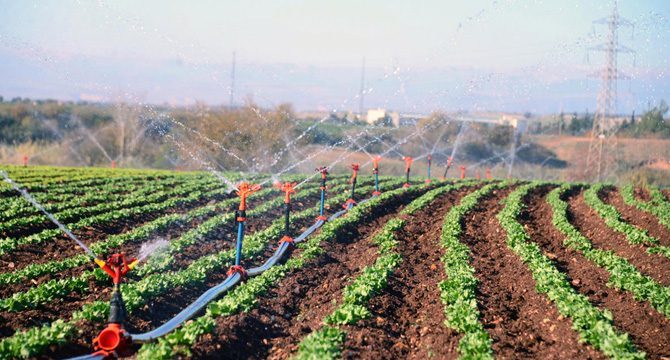 Tarımsal verimlilikte tehlike çanları çalıyor!