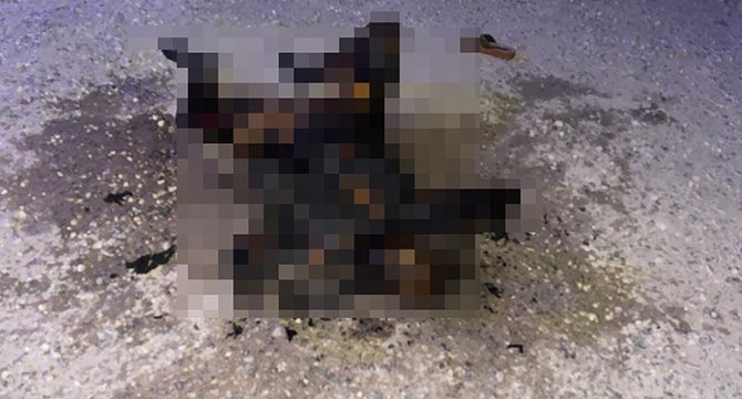 Şanlıurfa’da yanmış kadın cesedi bulundu