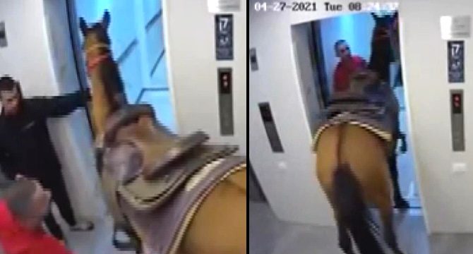 Asansöre at bindirmeye çalışan 2 kişiye gözaltı