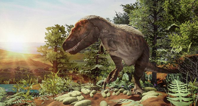 Yeni dinozor türü keşfedildi
