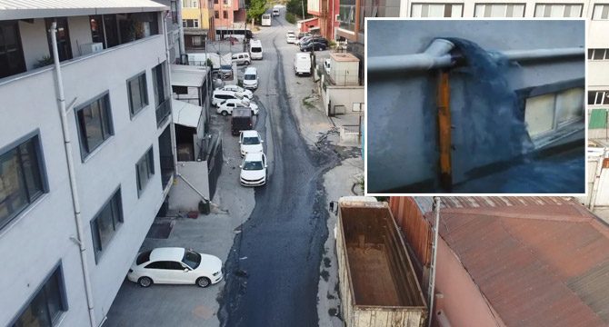 İstanbul'da mavi su alarmı! 'Sokak köpekleri içince ölüyor'