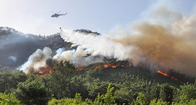 Antalya'da 3 günde, 22 yangında 80 dekar kül oldu