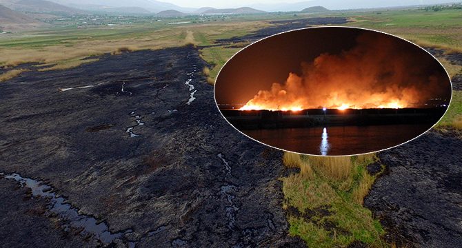 Kuş Cenneti'ndeki yangın sonrası yürek yakan görüntü: 30 hektar alan kül oldu!
