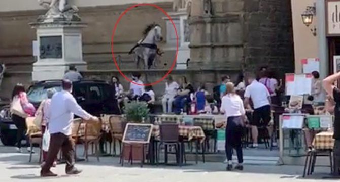 Kızgın at Floransa'nın ünlü meydanını birbirine kattı