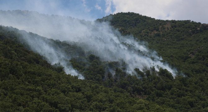 5 gün süren orman yangınında 30 hektar alan yandı