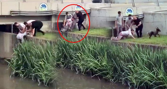 İnsanlık ölmemiş dedirten olay: Kanala düşen köpek için seferber oldular