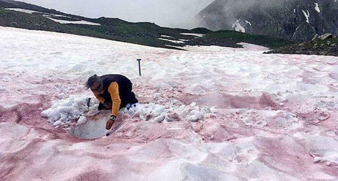 Uzmanlar büyük endişeyi açıkladı: Kırmızı karın sırrı çözüldü