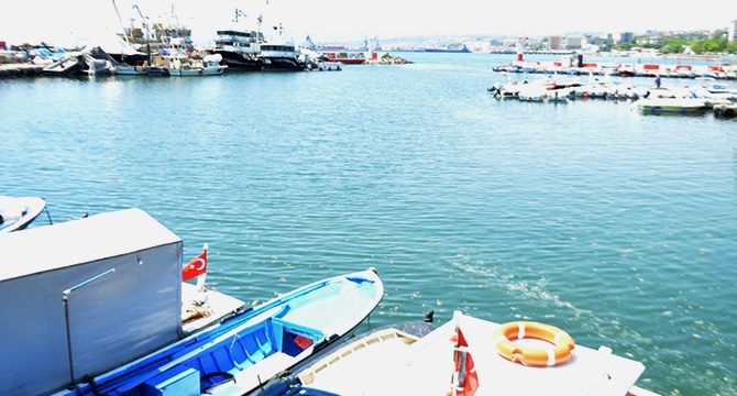 Marmara Denizi eski görüntüsüne kavuşuyor