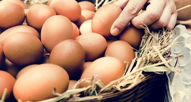 Uzmanlar uyardı: Yumurtayı çiğ tüketenler dikkat