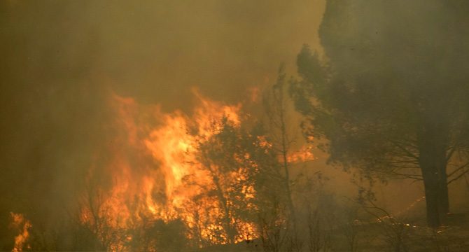 AFAD'dan orman yangınları açıklaması