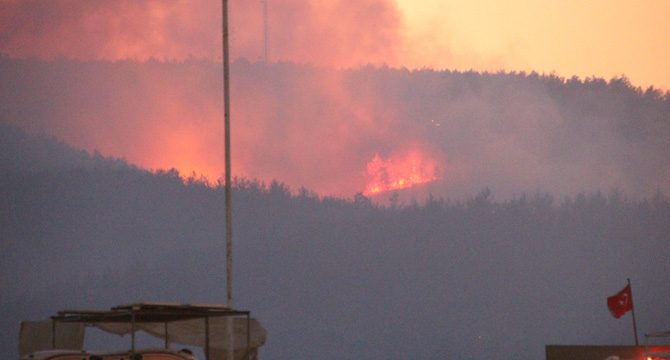 Bodrum'daki yangında yaklaşık 80 hektar alan zarar gördü
