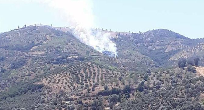 İzmir'de orman yangını çıktı