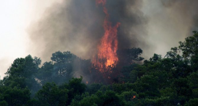 Orman yangını çıkarmak için gelen iki terörist yakalandı iddiası