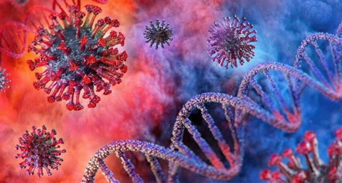 Bilim insanları açıkladı: Hiç bilinmeyen 28 farklı virüs tespit edildi