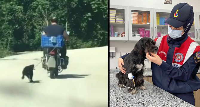 Vicdansızlık! Köpeği motosikletin arkasına bağlamıştı: Yeni gelişme