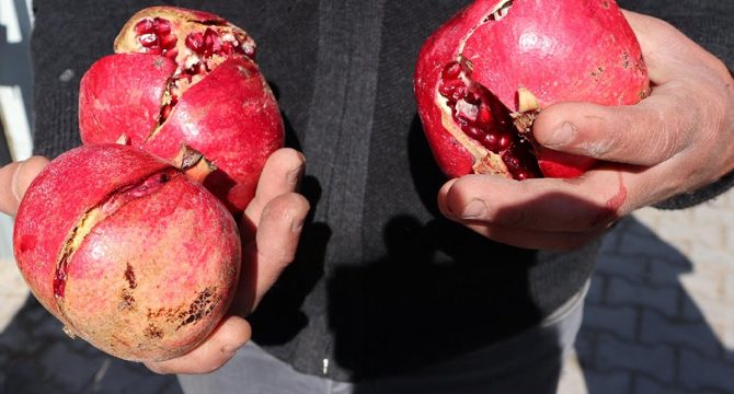 Dört yaşındaki Saliha'nın tüyler ürperten korkunç ölümü